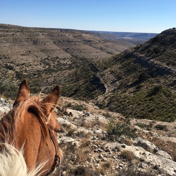 Meet your Posher, Linda - Picture 11 of 11